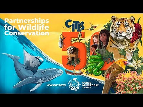 World Wildlife Day 2023 – Partnerships for Wildlife Conservation