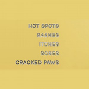 The Silver Honey Hot Spot & Wound Care line empowers animal owners to treat their pets' wounds and rashes faster, right at home. Any animal, any wound, anytime! 🐶🐰🐮🐷🐭🦆🐥🐴🦄 | Silver Honey