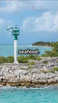 Top 5 Must-Visit Places in Guadeloupe 🌴 | Beaches, Islands & Hidden Gems! ✨2025