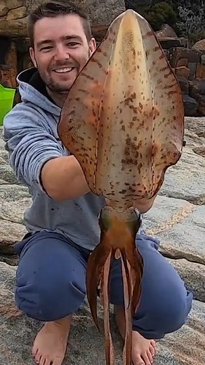 Catching GIANT Ocean Squid😲 | Dixon's Fishing