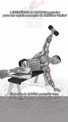 4 Melhores Exercícios Para Aumentar O Trapézio #treino de costas