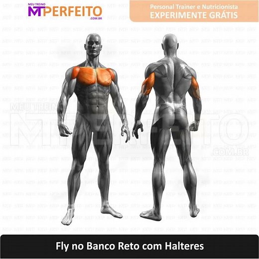 Fly no Banco Reto com Halteres - Músculos Trabalhados