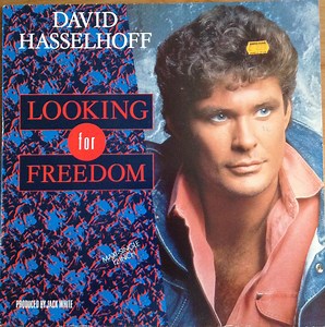 David Hasselhoff - Looking For Freedom