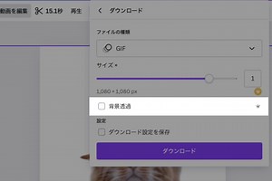 猫ミーム作りに活躍！GIFの背景透過ダウンロードができるようになりました。 GIFアニメ、GIFスタンプなどにもお使いください！ | Canva Japan