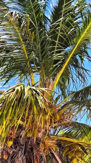 Discover the natural scenic beauty of Islands