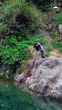 Unveiling Shadow Play from 2000 Years Ago. China's oldest art form of cinema Shadow Puppetry