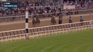 5.7K views · 464 reactions | Catalina Cruiser is BACK and makes his seasonal debut a winning one with a record setting performance in the G2 True North Stakes at Belmont Park for Trainer John Sadler, Owner @HronisRacing with Joel Rosario on the mount! | FanDuel Racing | Facebook