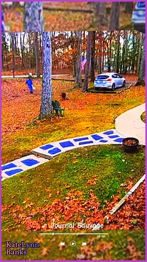 1.6K views | The dogs chasing delivery man, delivery man is hero .. | ツ Movies Funny Mistakes ツ | Facebook