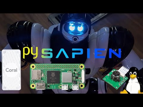AI Raspberry Pi Robo Sapien - The PySapien