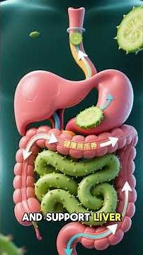 Nopales – The Morning Hydration and Detox Ally │Vegetables │MedMind Matrix