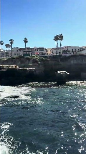 Children's Pool La Jolla Seawall Protected Beach in San Diego #lajolla #lajollashores #sandiego