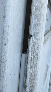 GUARNIZIONE ADESIVA per porte e finestre! Se hai la porta o le finestre che non serrano bene e desideri maggiore isolamento, allora DPM Tapes ha il prodotto per te! Acquistalo su Amazon da questo link: https://amzn.eu/d/gMWNmV0 DISPONIBILE in vari COLORI #reelsitalia #amazon #dpmtapes #guarnizioni #faidate #riparazioni #isolamento | Dpm Tapes