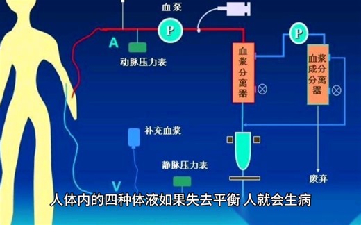 希波克拉底提出的“四体液学说”具体是什么？