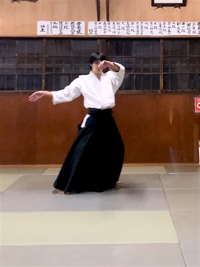Power of Irimi Nage #MONです #Aikidolaos