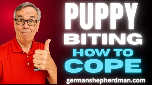 2.5K views · 44 reactions | One of many techniques to manage PUPPY BITING!!! | German Shepherd Man | Facebook