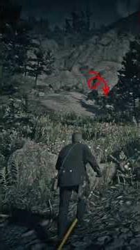 Hunting The Legendary Grizzly Bear in RDR2