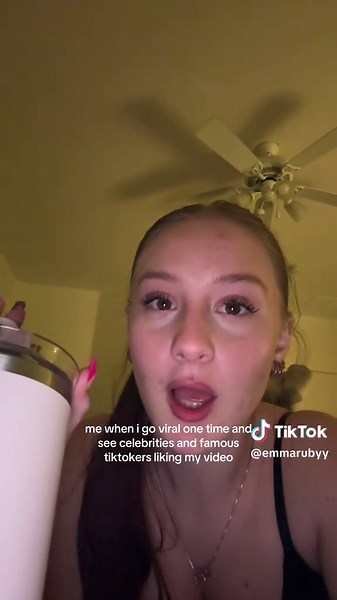 Understanding Internet Fame and Celebrity Interactions