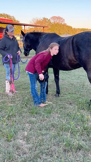 Most healthy horses will have 1-3 gut rumblings every minute! The technical name for this phenomenon (in any animal whose tummy rumbles, including us) is borborygmus (pronounced bor-bo-rig-mus), the plural being borborygmi. If the horse is not experiencing borborygmi, this could signal an impaction, and a veterinary emergency. Horse owners should know typical equine vital signs, as well as what is normal for their individual horse ❤️ (Jett feels fine, she was just teaching.) #horsecare #neverend
