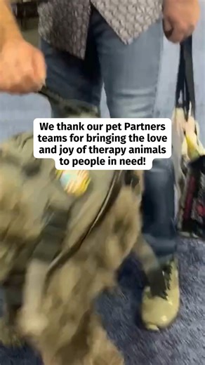 2.4K views · 39 reactions | National Therapy Animal Day is NEXT WEEK...
