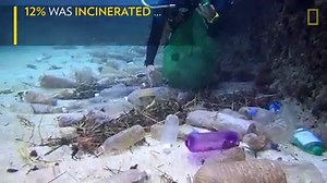 17K views · 350 reactions | Mass production of plastics, which began just six decades ago, has accelerated so rapidly that it has created 8.3 billion metric tons Read more here: www.nationalgeographic.com.au/science/a-whopping-91-percent-of-plastic-isnt-recycled.aspx | National Geographic Australia | Facebook