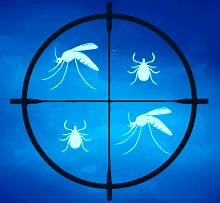 Viasure Multiplex Zika Dengue y Chikungunya | Kabla