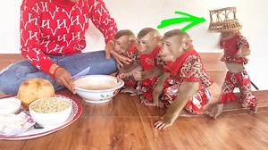 1.3M views · 19K reactions | Mom’s Special MorningTreat For The Helpful Trio JJ’s&F | The Judy Family | Facebook