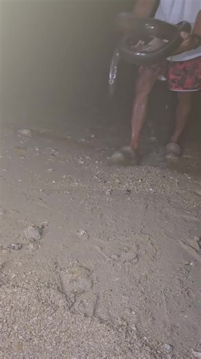 Amazing Monkfish Pool Trick in Viral Video