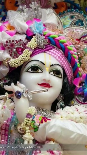 radha nam jaap matlab karodo sadhano ka fal #shyam #vrindavanmarg #love #radha #radhaswami #song #ai