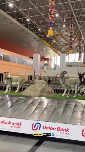 2.3K views · 44 reactions | Coimbatore International Airport (IATA: CJB, ICAO: VOCB) is the primary international airport serving Coimbatore city located in Peelamedu, 10 km (6.2 miles) from Coimbatore city. | நமது கோவை | Facebook