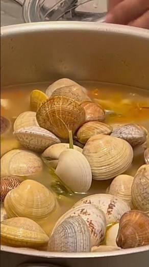 How to cook sea shells (HALAAN)