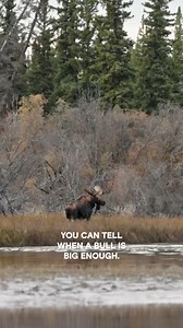 3.6M views · 25K reactions | A life on the line. #MountainMen | Mountain Men on The History Channel | Facebook