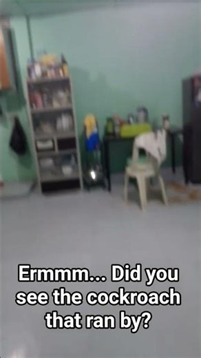 One minute test flight of Diamondback by foldable flight