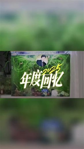 2026年第一天，给2025做个视频总结吧！又省力，又快捷！ #2025年度回忆 #抖音热点记忆2025 #七彩祥云有好运 #自由和远方