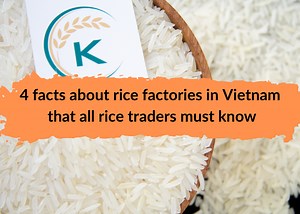 4 Facts About Rice Factories In Vietnam That All Rice Traders Must Know - K-Agriculture