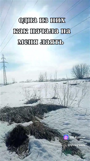 #веснавпоселке Солнечная поляна нашел оттаявшую землю, убежав от собак #режимспорт #открываюмир