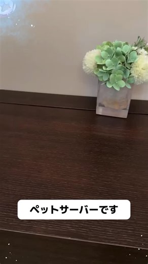 さくら～ | 真冬でもこの定温給水器があれば、家の猫も犬も冷たい水を飲む必要はもうありません！#わんにゃんグッズ #トイプードル #ペット用定温給水器 #ペット給水器 #犬用給水器 | Instagram