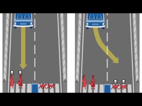 Moral Machine Self-Driving Car Scenarios
