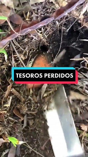 Uncovering a Stunning Geode in Nature