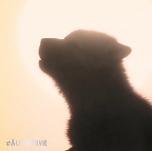 2.2M views · 6.8K reactions | Mankind discovers man’s best friend. #AlphaMovie only in theaters August 17. | Alpha | Facebook