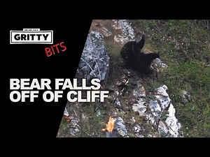 BEAR FALLS OFF CLIFF!!! #GrittyBits