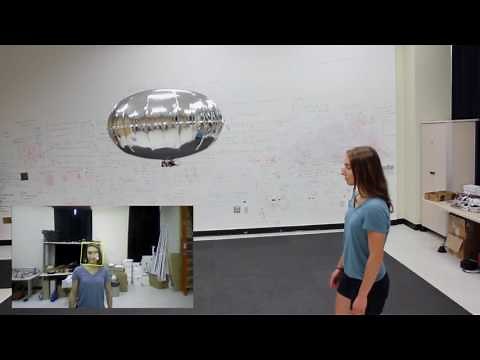 Blimp and Human Interaction with Face Detection