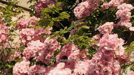 Summer at Haddon is like stepping into another time. Left untouched for over 200 years, Haddon Hall is one of the most beautifully preserved houses in England - every stone and window is steeped in history. Explore its magnificent, romantic gardens, which were designed in the 1500s as a wraparound for The Long Gallery, and wander through romantic terraces overlooking the River Wye. Head into the Medieval Park for a guided walk, with a range of specialist tours including bird walks, butterfly wal