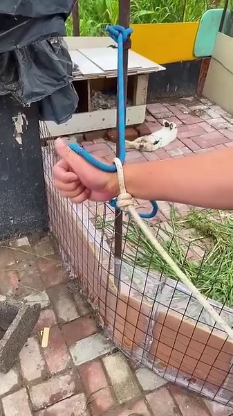 863K views · 3.7K reactions | Essential Rope Tips And Tricks 甆 | Creative Bee | Facebook