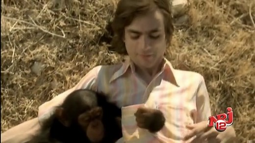 Weezer - Island in The Sun