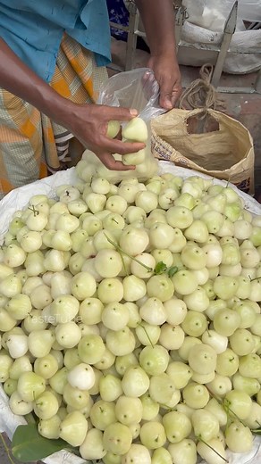 16K views · 131 reactions | Fresh Java Apple Fruit - Wax Jambu of Bangladesh#foodie #fruits #reels #reelsfb #reelsviral #viral #food #foryou | TasteTube | Facebook