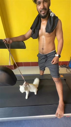 Bodybuilder Jerry 😁🐈 | Johan Imtiyas