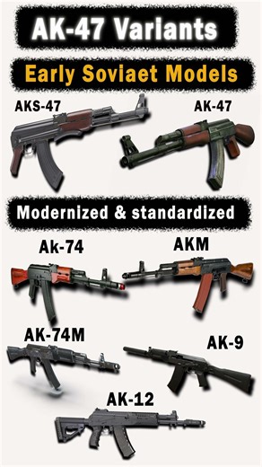 AK-47 Variants🔥 Explained | From Soviet Classic to AK-12 Evolution🔥
