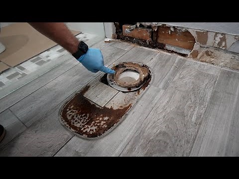The Reality of DIY Mold Remediation
