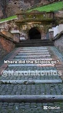 Where did the Scipios go?