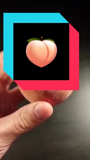 Bioactive Terrarium Setup Tutorial